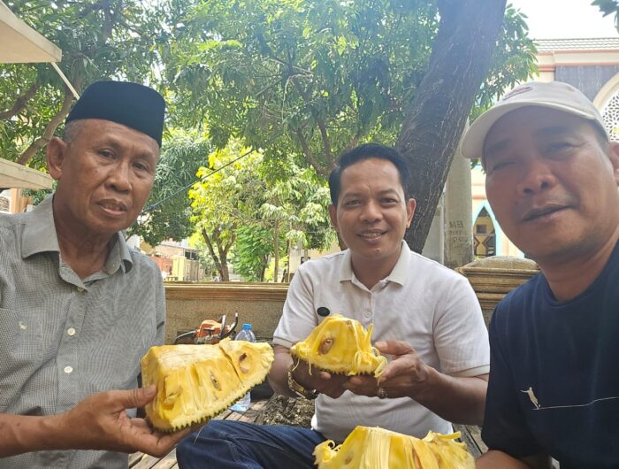 Urban Farming Ala H. Sukardi Latief: Hijaukan Blok M BTP, Wujudkan Kemandirian Pangan Warga