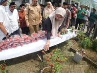 Sumber Foto /Humas Pemkot/Ketua TP PKK Kota Makassar, Melinda Aksa, memperhatikan tanaman Cabe Katokkon yang ditampilkan dalam Gerakan Urban Farming Bukit Baruga. Buah merah cabai khas Toraja ini sempat disangka strawberry oleh sebagian peserta, karena bentuk dan warnanya yang mirip.